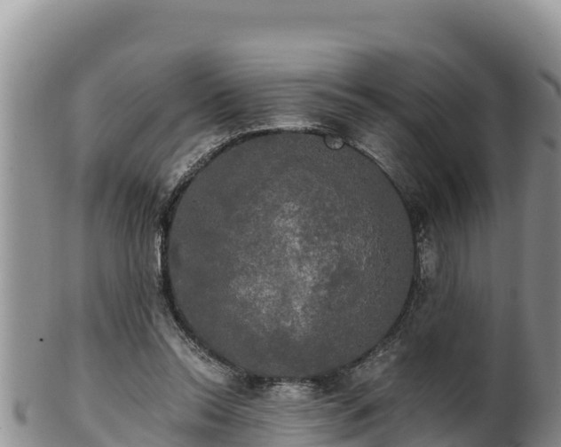 X0000102240350200808011253