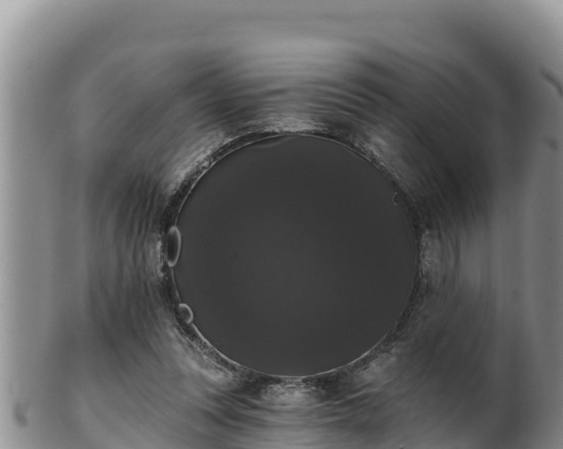 X0000102240351200808011253