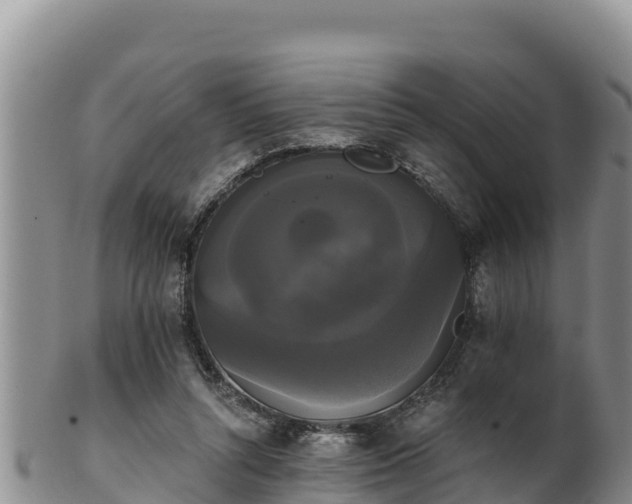 X0000102240352200808011253