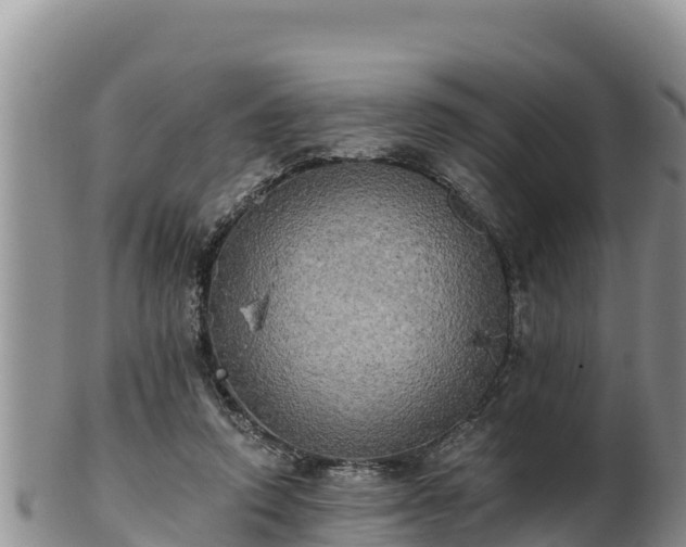 X0000102240354200808011253