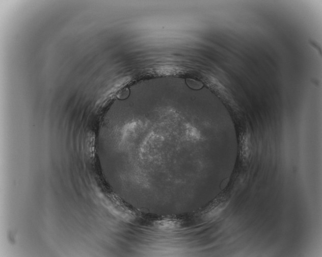 X0000102240356200808011253