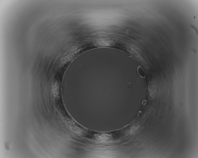 X0000102240359200808011253