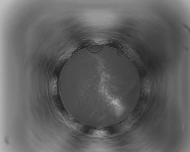 X0000102240360200808011253