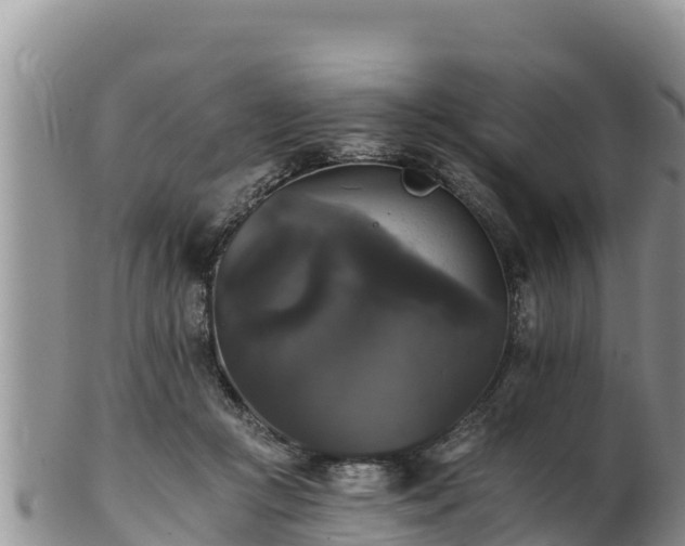 X0000102240361200808011253