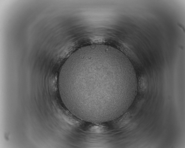 X0000102240364200808011253