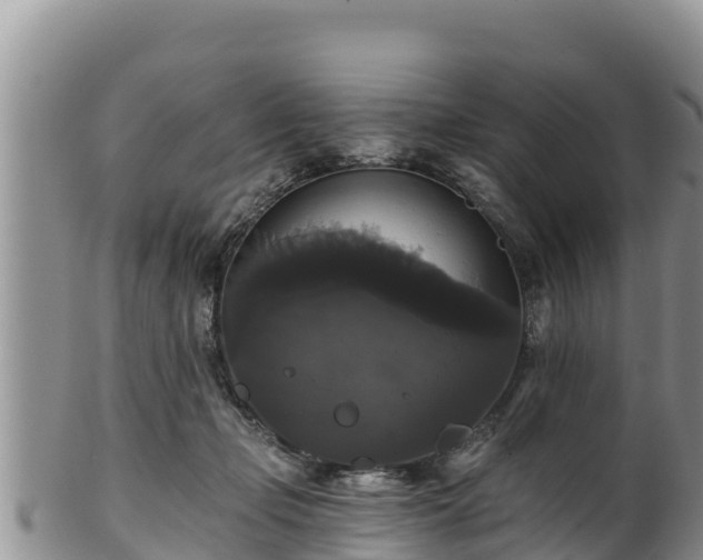 X0000102240365200808011253