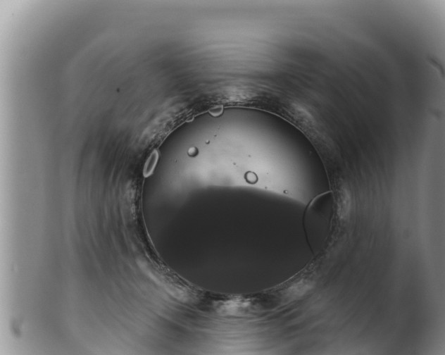 X0000102240366200808011253