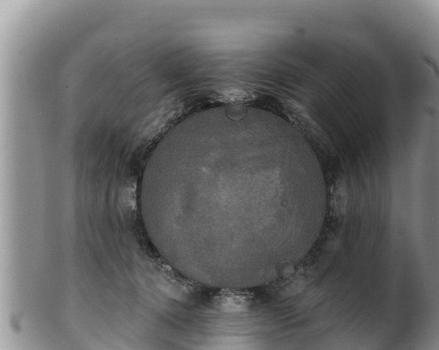 X0000102240368200808011253