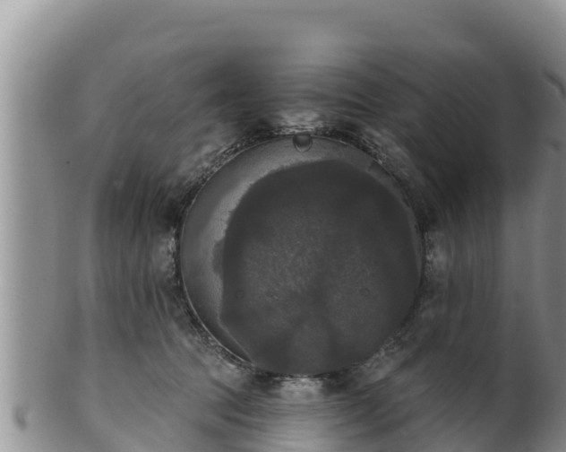 X0000102240369200808011253