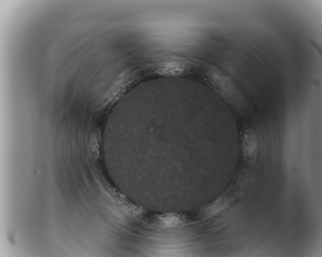 X0000102240370200808011253