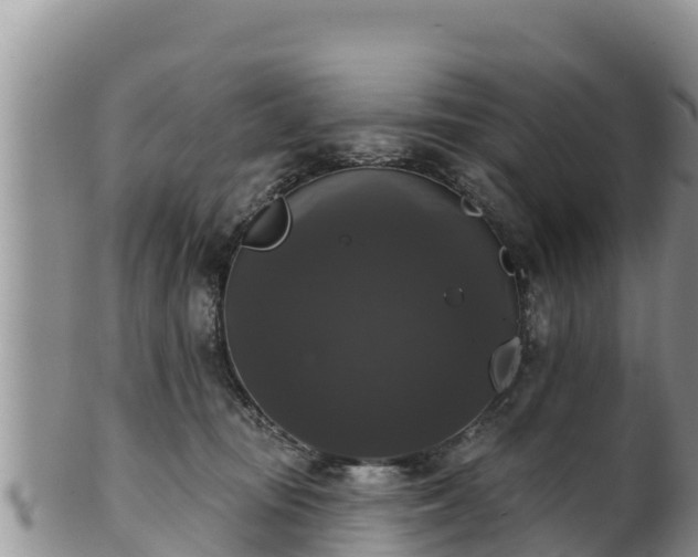 X0000102240371200808011253