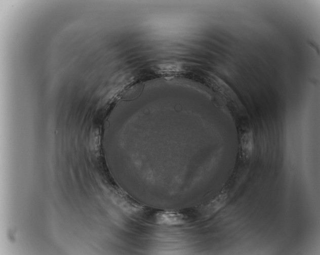 X0000102240372200808011253