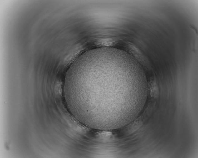 X0000102240374200808011253