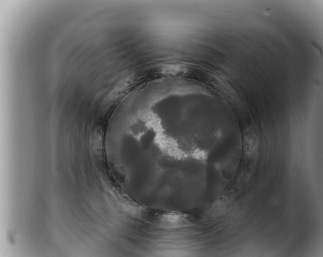 X0000102240375200808011253