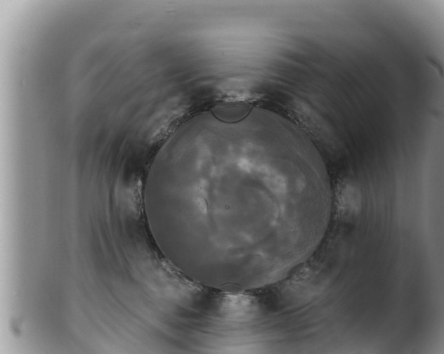 X0000102240376200808011253