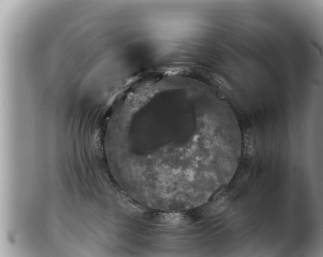 X0000102240377200808011253