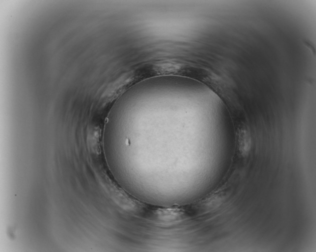 X0000102240378200808011253