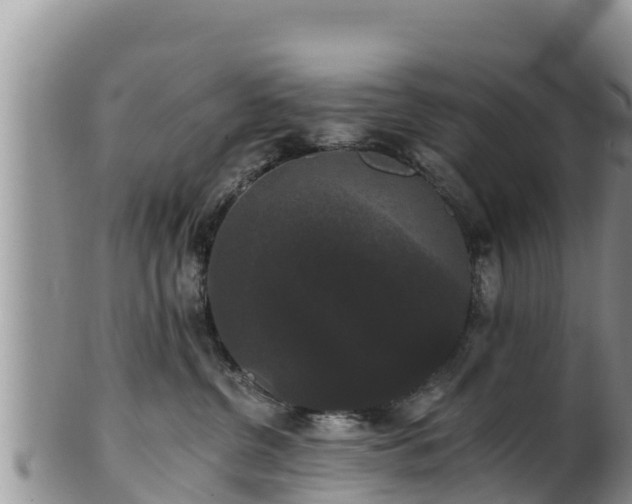 X0000102240380200808011253