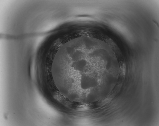 X0000102240381200808011253