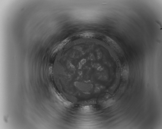 X0000102240382200808011253