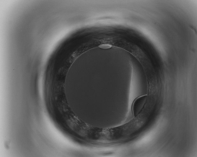 X0000102240383200808011253