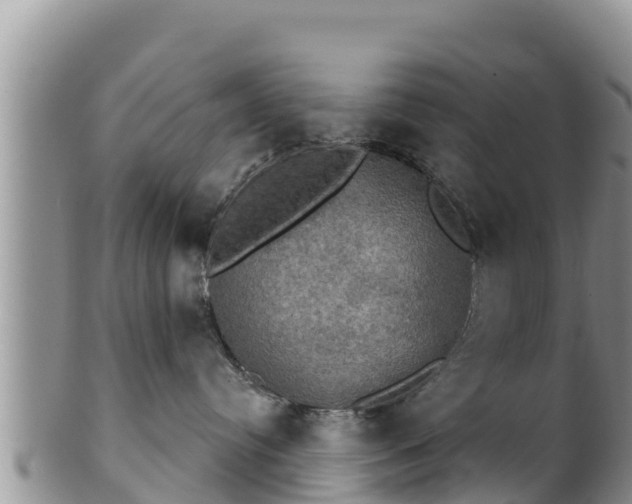 X0000102240384200808011253