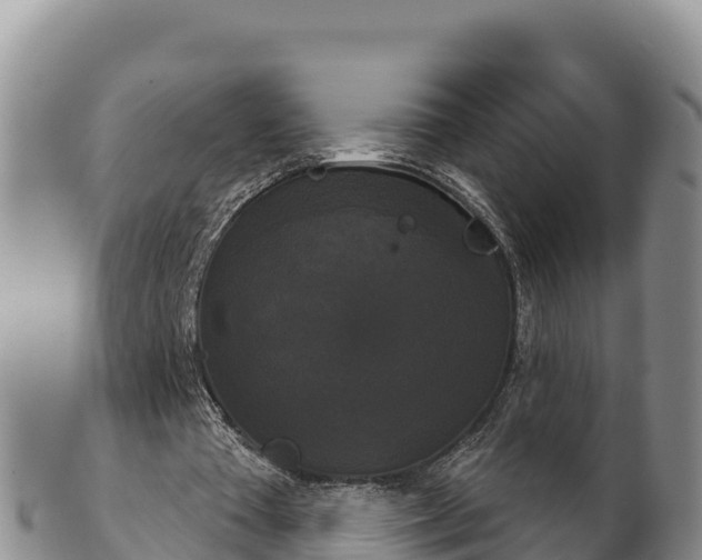 X0000102240385200808011253