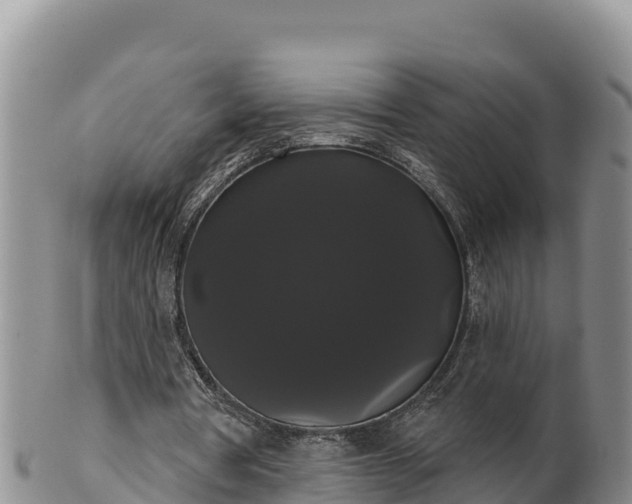 X0000102240386200808011253