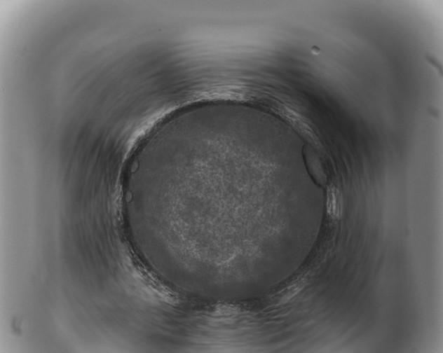 X0000102240388200808011253