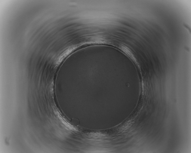 X0000102240389200808011253