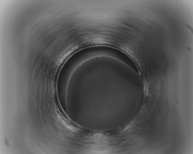 X0000102240390200808011253