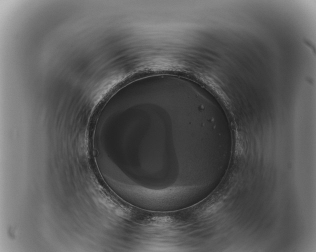 X0000102240391200808011253