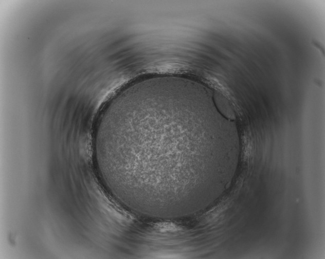 X0000102240392200808011253