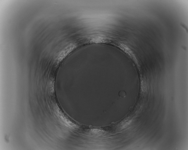 X0000102240393200808011253