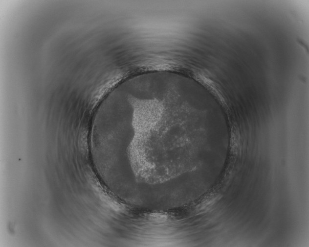 X0000102240394200808011253