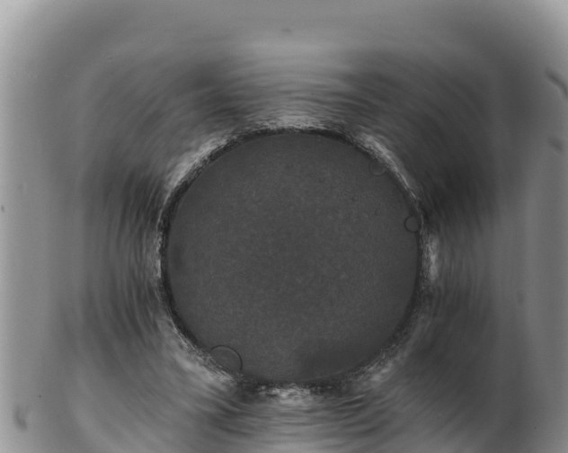 X0000102240395200808011253