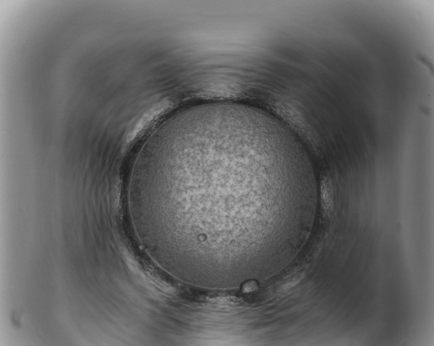 X0000102240396200808011253