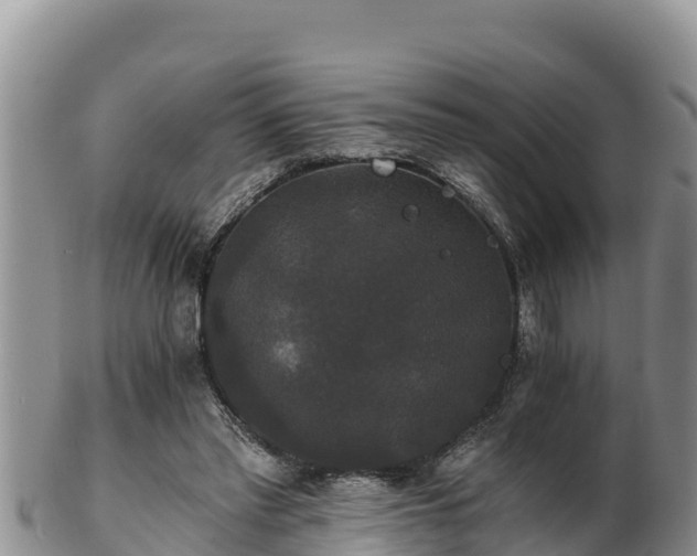 X0000102240397200808011253