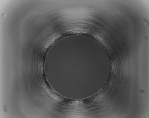 X0000102240398200808011253