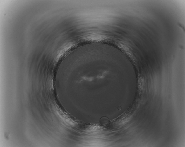 X0000102240399200808011253