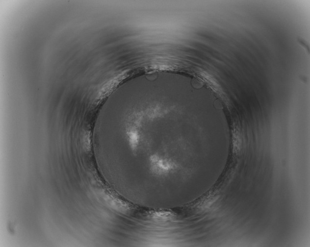 X0000102240401200808011253