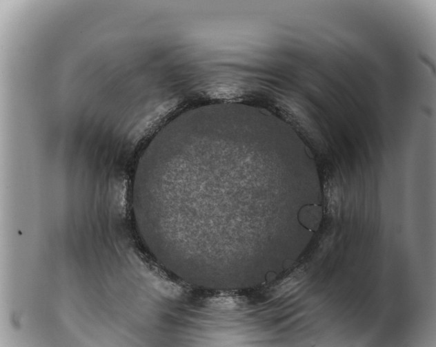 X0000102240404200808011253