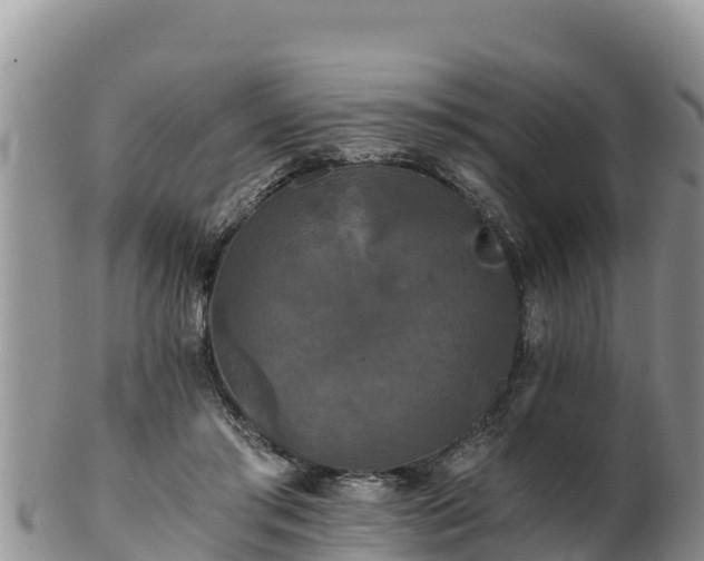 X0000102240405200808011253