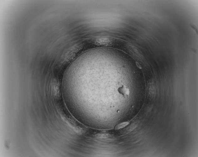 X0000102240408200808011252