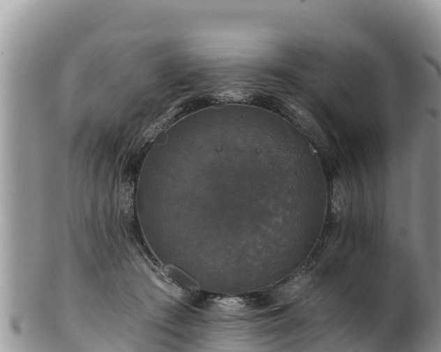 X0000102240409200808011252