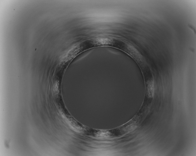 X0000102240410200808011252