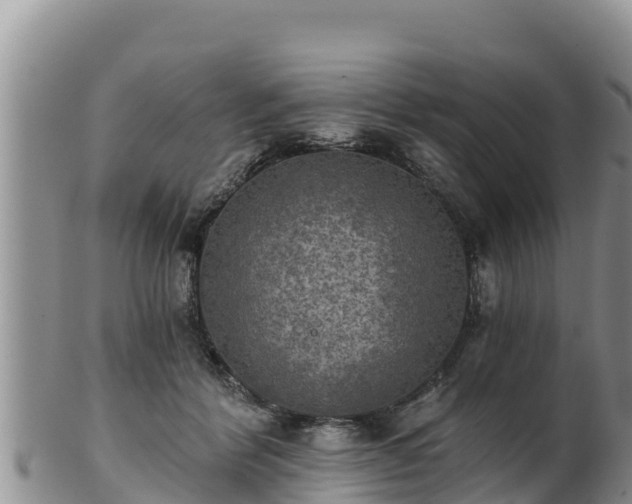 X0000102240412200808011252