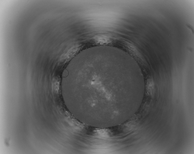 X0000102240417200808011252