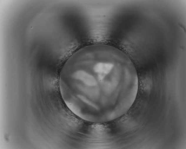 X0000102240419200808011252