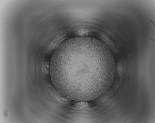 X0000102240421200808011252